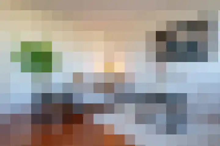 Slichtenhorststraat 41 Amsterdam thumbnail 5