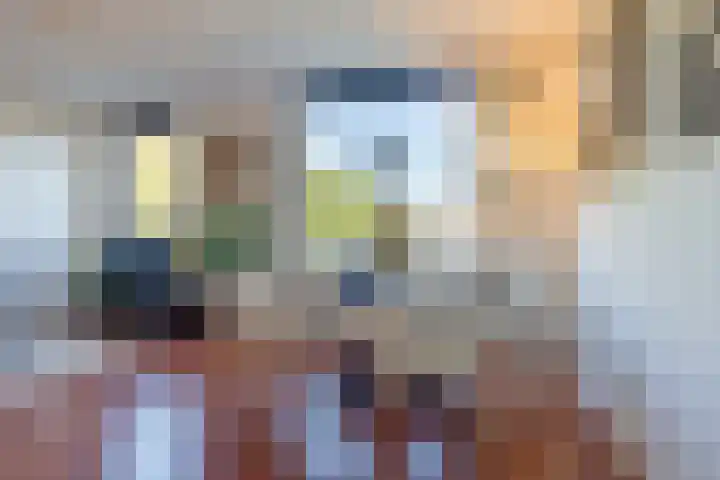 Slichtenhorststraat 41 Amsterdam thumbnail 9