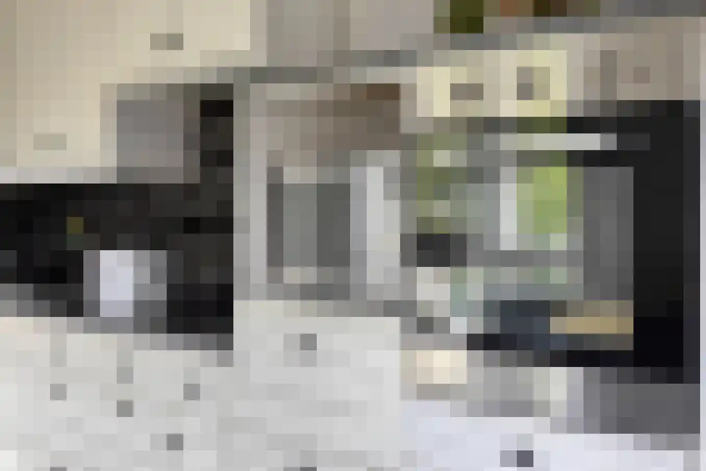 Slickenburgschans 1 025 Oostburg thumbnail 15