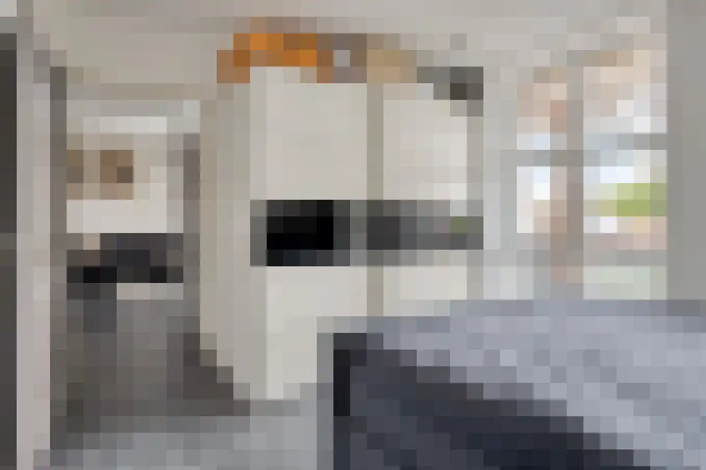 Slickenburgschans 1 025 Oostburg thumbnail 19