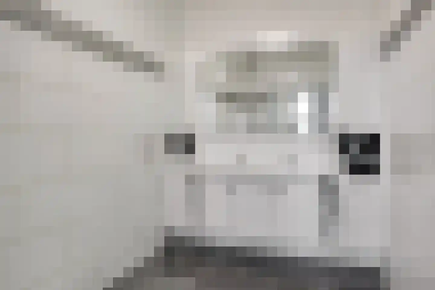 Slickenburgschans 1 025 Oostburg thumbnail 20