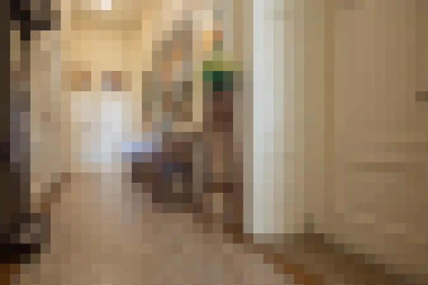 Sliekstraat 1 A Hummelo thumbnail 14