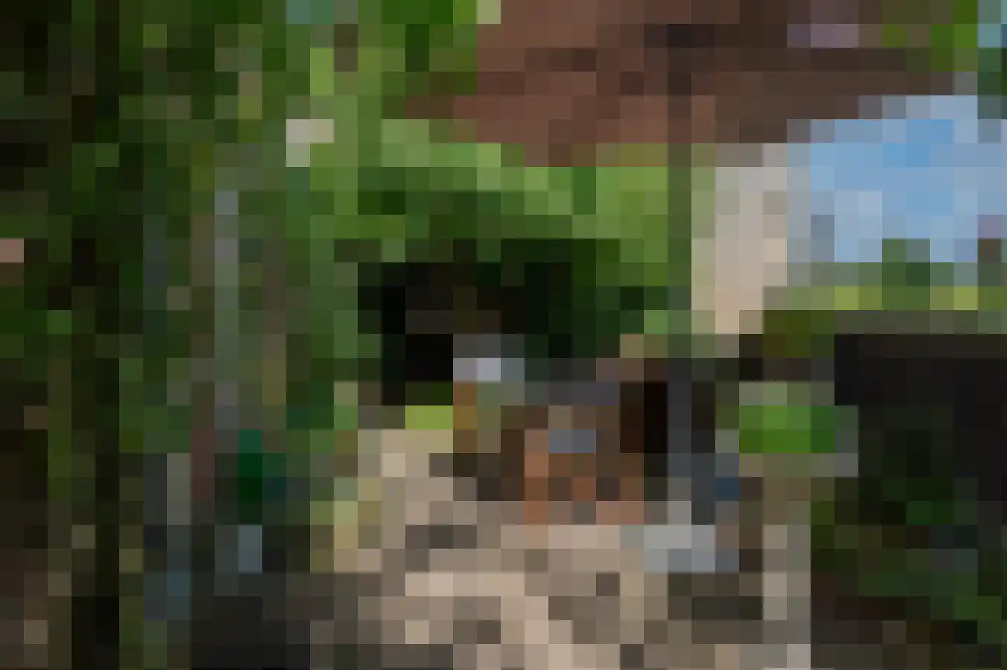 Sliekstraat 1 A Hummelo thumbnail 29