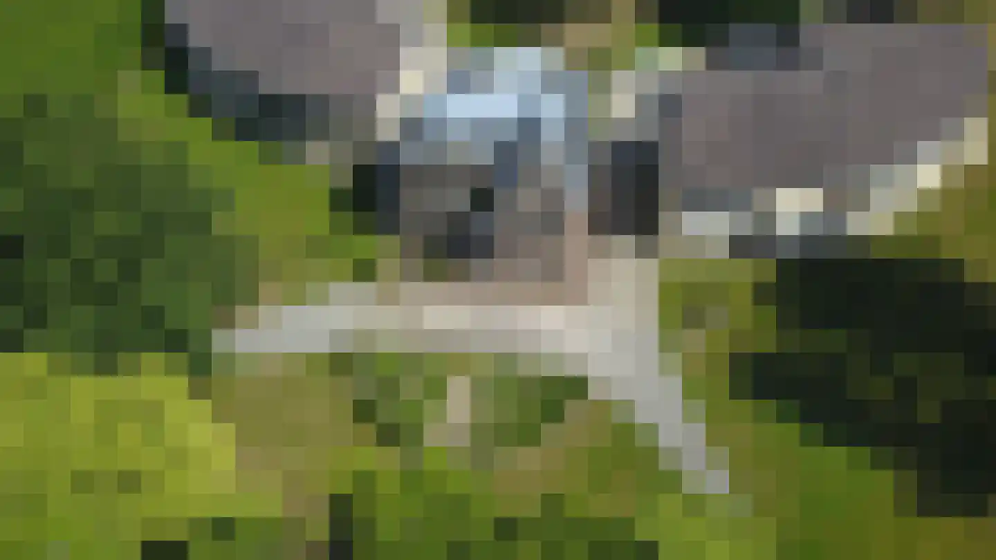 Sliekstraat 1 A Hummelo thumbnail 35