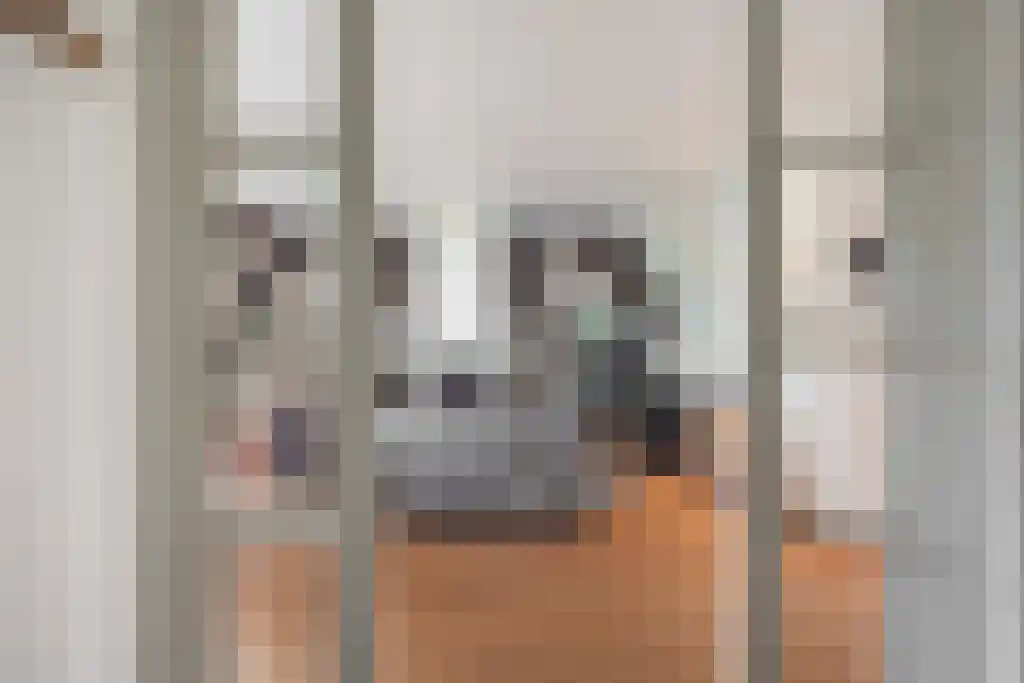 Sliekstraat 1 Hummelo thumbnail 6