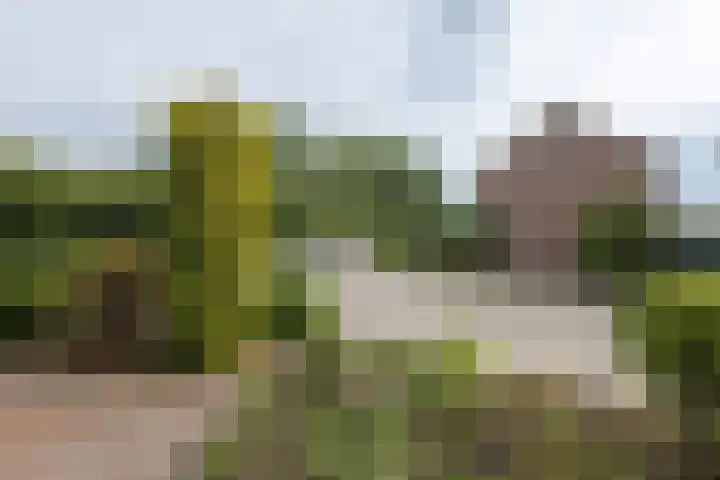 Slieperstraat 2 a Beltrum thumbnail 30