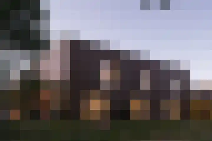 Sliffertsestraat 18 Eindhoven thumbnail 11