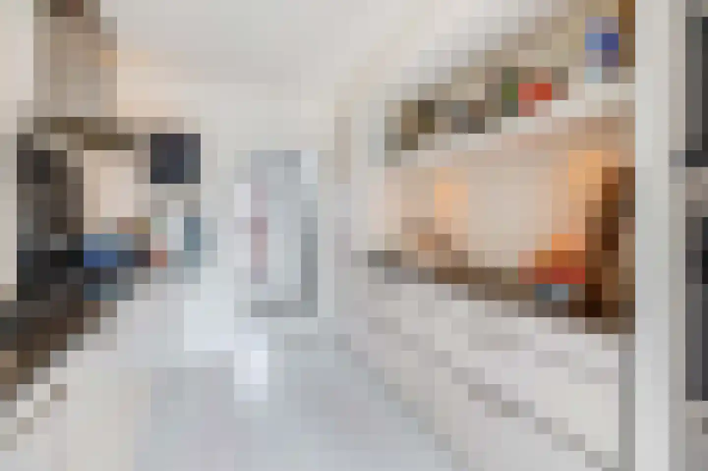 Sliffertsestraat 29 Eindhoven thumbnail 22