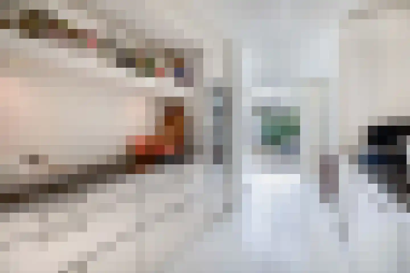 Sliffertsestraat 29 Eindhoven thumbnail 23