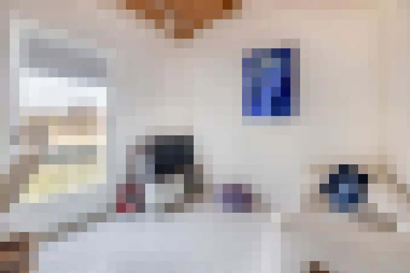 Sliffertsestraat 29 Eindhoven thumbnail 28