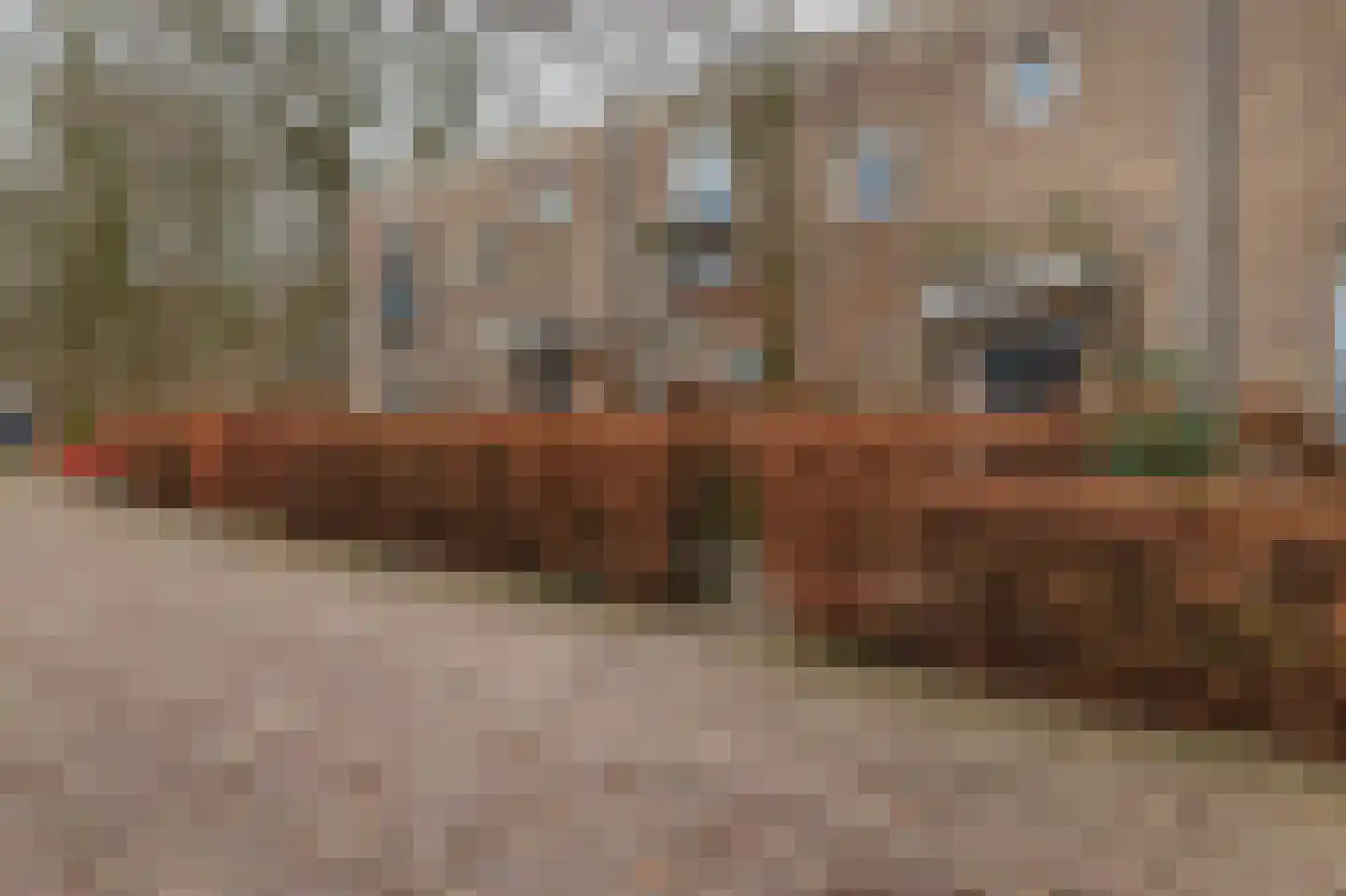 Sliffertsestraat 29 Eindhoven thumbnail 4