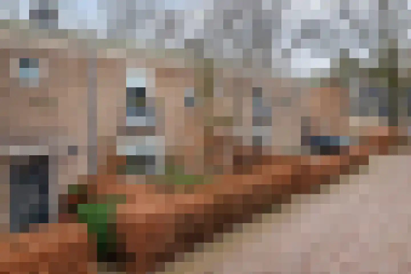 Sliffertsestraat 29 Eindhoven thumbnail 40