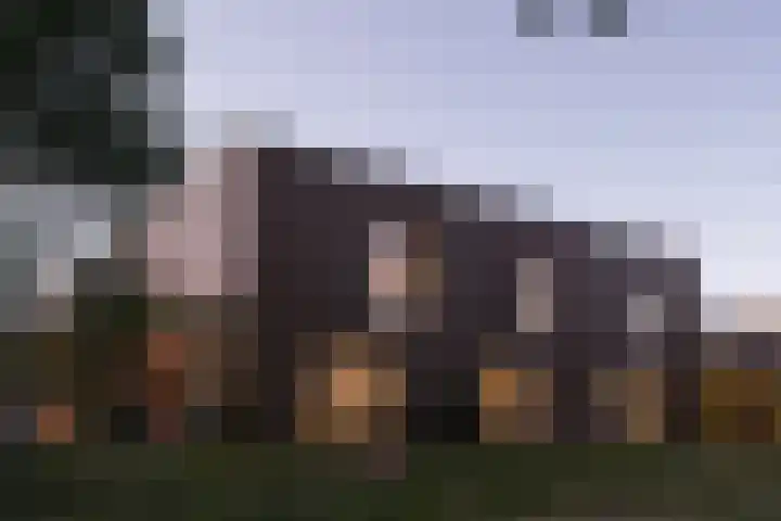 Sliffertsestraat 30 Eindhoven thumbnail 11