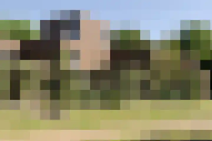 Sliffertsestraat 30 Eindhoven thumbnail 9