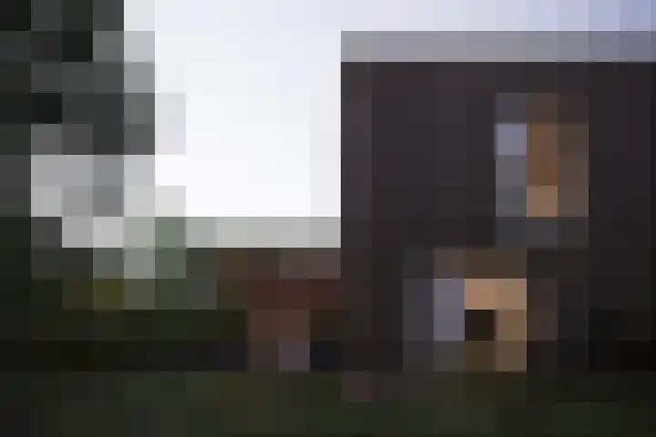 Sliffertsestraat 36 Eindhoven thumbnail 14