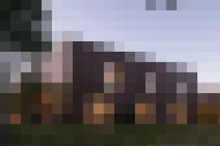 Sliffertsestraat 38 Eindhoven thumbnail 11