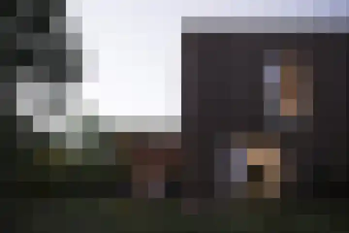 Sliffertsestraat 38 Eindhoven thumbnail 14