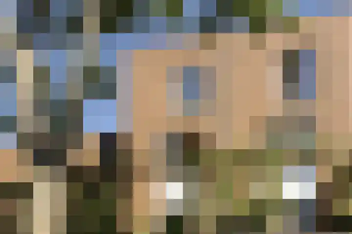 Sliffertsestraat 38 Eindhoven thumbnail 7