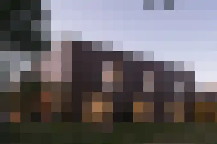 Sliffertsestraat 8 Eindhoven thumbnail 11
