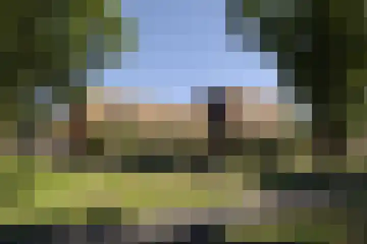 Sliffertsestraat 8 Eindhoven thumbnail 8