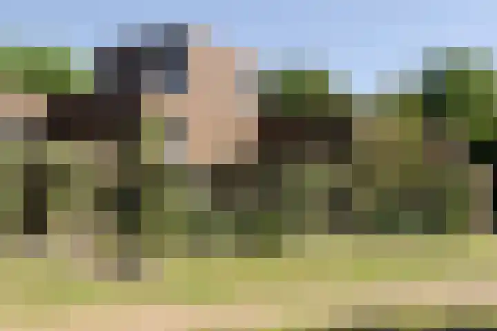 Sliffertsestraat 8 Eindhoven thumbnail 9