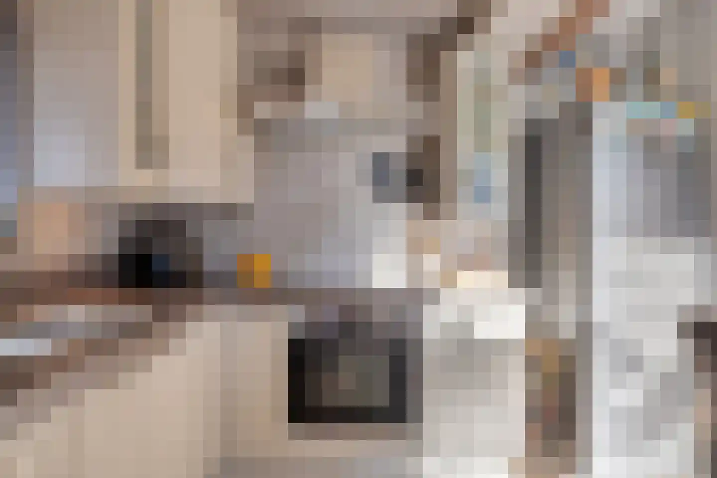 Sligtmaan 33 Alphen thumbnail 18