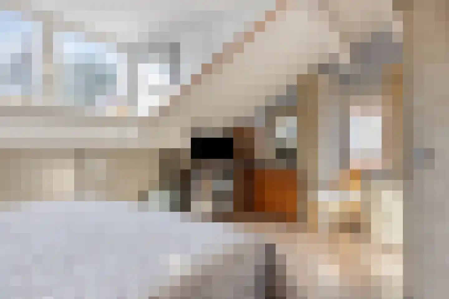 Sligtmaan 33 Alphen thumbnail 29
