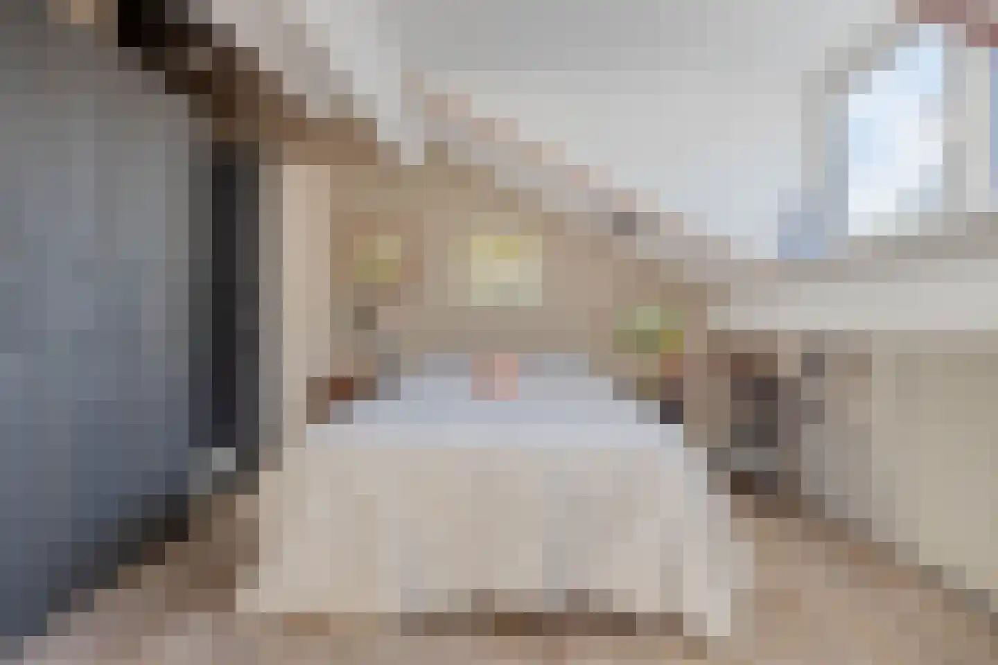 Sligtmaan 33 Alphen thumbnail 30