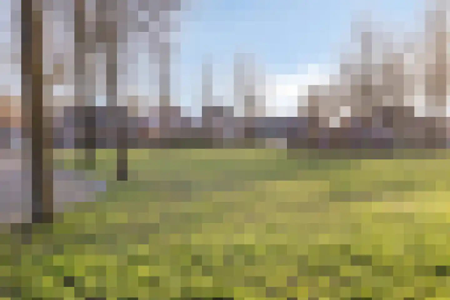 Sligtmaan 33 Alphen thumbnail 40