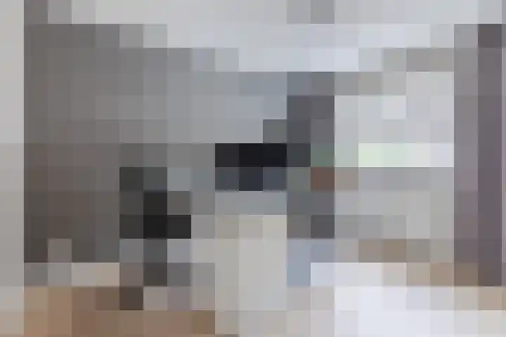 Slijkhoef 23 Biezenmortel thumbnail 18