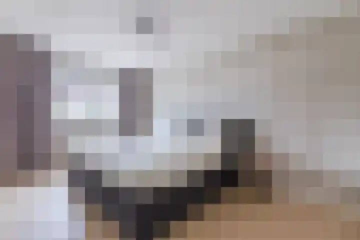 Slijkhoef 23 Biezenmortel thumbnail 19