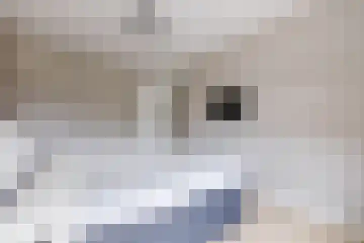 Slijkhoef 23 Biezenmortel thumbnail 20