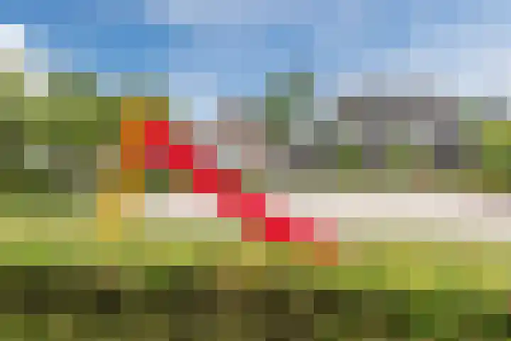 Slijkhoef 23 Biezenmortel thumbnail 29
