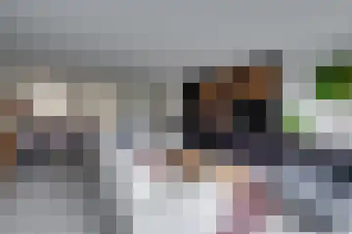 Slijkhoef 33 Biezenmortel thumbnail 15