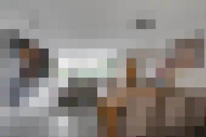 Slijkhoef 33 Biezenmortel thumbnail 16