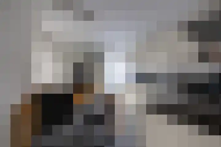 Slijkhoef 33 Biezenmortel thumbnail 20
