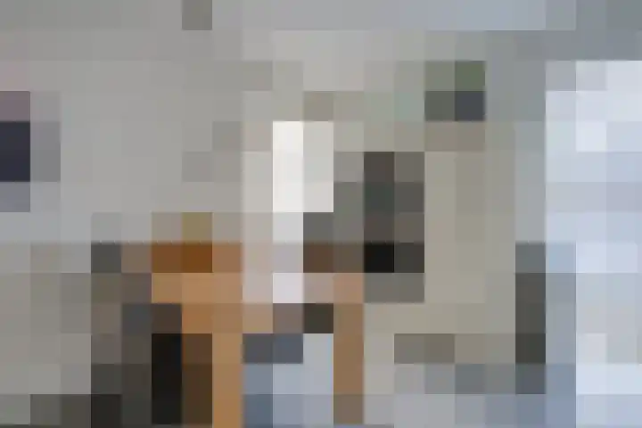 Slijkhoef 33 Biezenmortel thumbnail 21