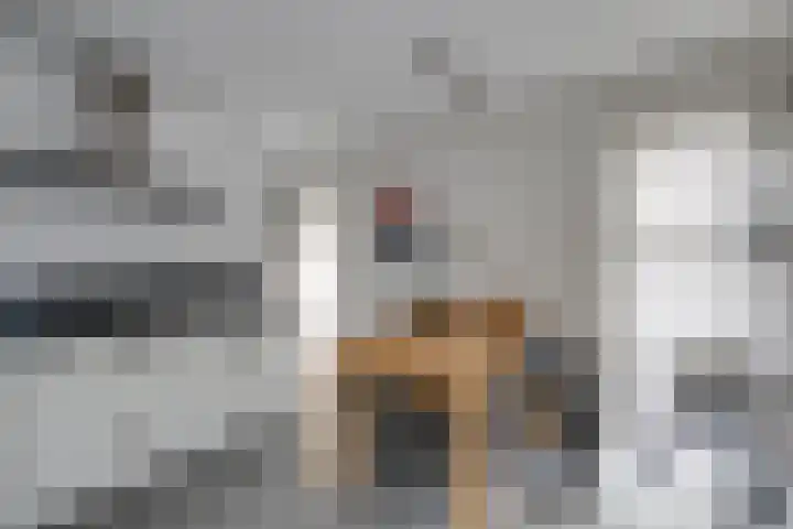 Slijkhoef 33 Biezenmortel thumbnail 23