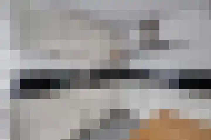 Slijkhoef 33 Biezenmortel thumbnail 24
