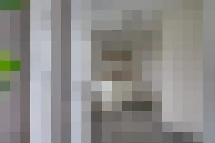 Slijkhoef 33 Biezenmortel thumbnail 25