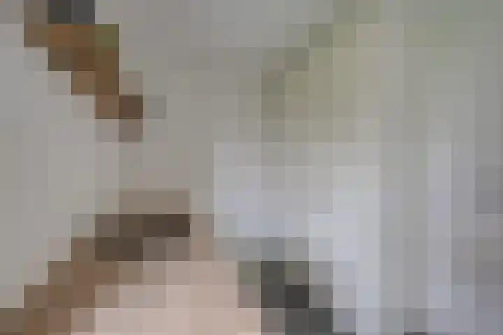 Slijkhoef 33 Biezenmortel thumbnail 27