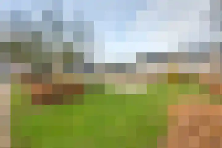 Slijkhoef 33 Biezenmortel thumbnail 4