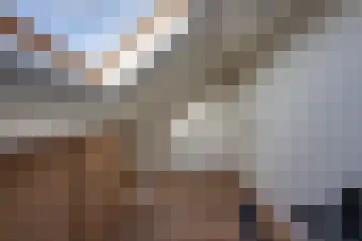Slijkhoef 33 Biezenmortel thumbnail 49