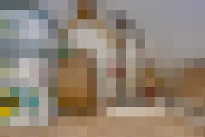 Slijkhoef 33 Biezenmortel thumbnail 52