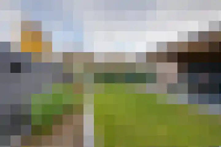 Slijkhoef 33 Biezenmortel thumbnail 55