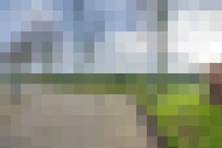 Slijkhoef 33 Biezenmortel thumbnail 6