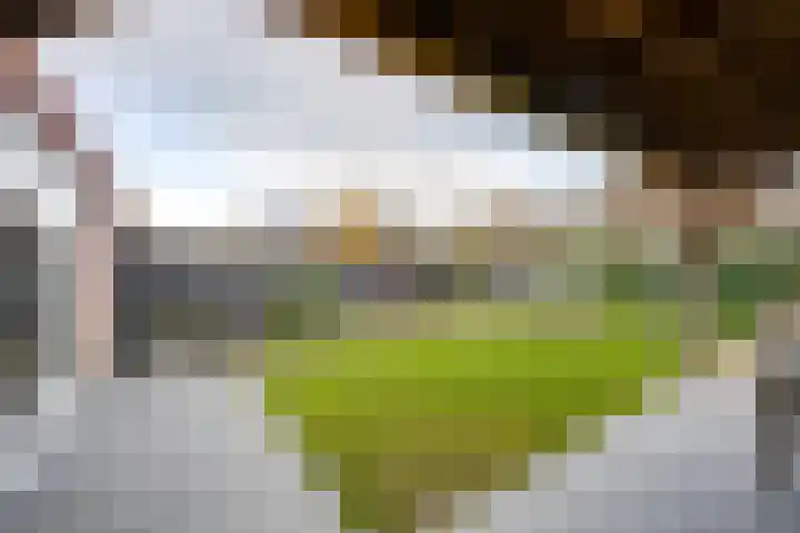 Slijkhoef 33 Biezenmortel thumbnail 60