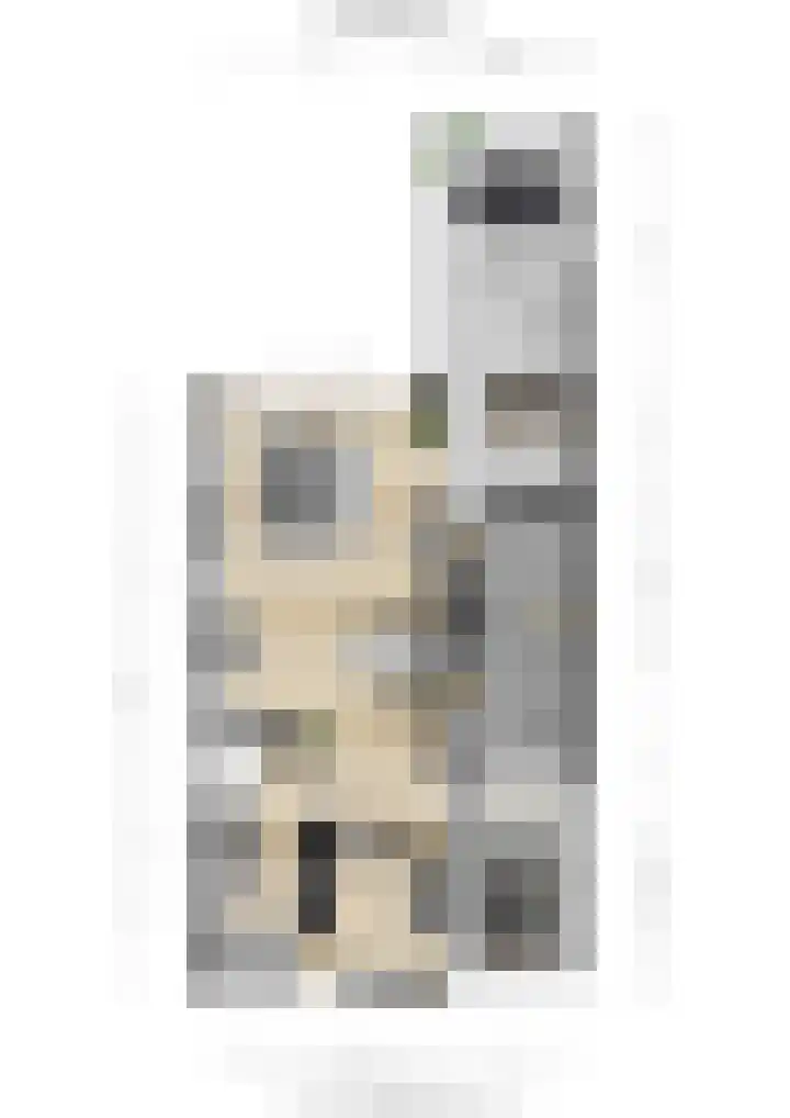 Slijkhoef 33 Biezenmortel thumbnail 64