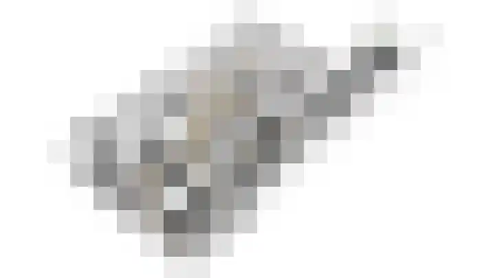 Slijkhoef 33 Biezenmortel thumbnail 66