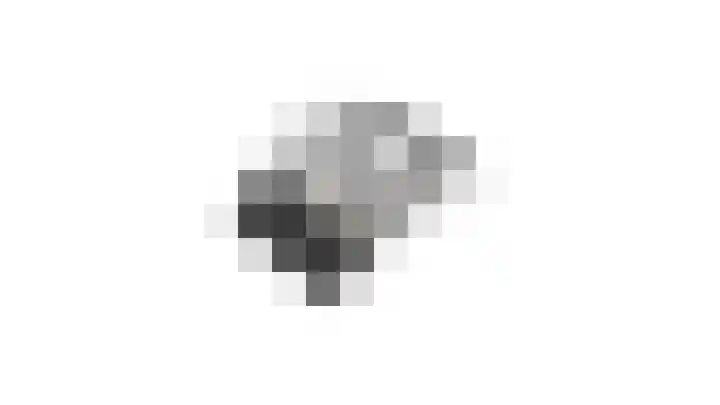 Slijkhoef 33 Biezenmortel thumbnail 72